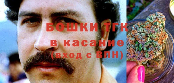 стаф Михайловск