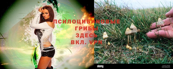 стаф Михайлов