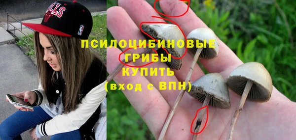 стаф Михайлов