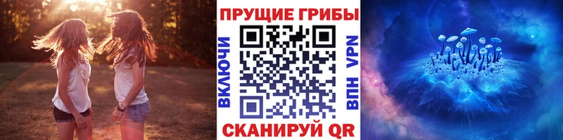где можно купить   omg как войти  Галлюциногенные грибы прущие грибы  Южноуральск 